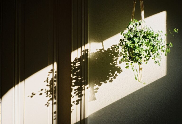 chris weiher C jcJEalIUY unsplash