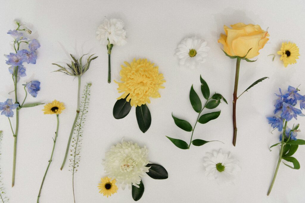 jennifer kalenberg SLhuy1zeLsY unsplash
