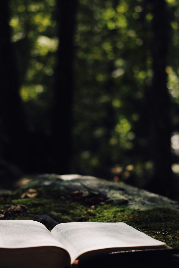 jessica mangano J8esybr6V98 unsplash