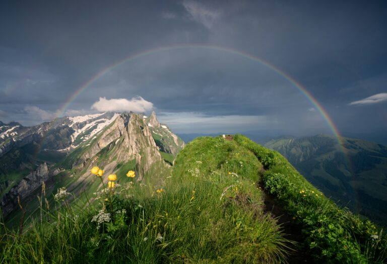 pascal debrunner vwFvhJf6u I unsplash