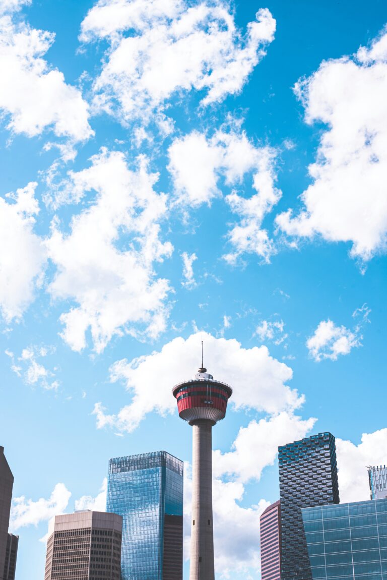 ryunosuke kikuno KqDgC1WMZ8M unsplash
