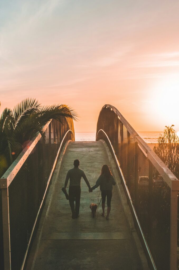 shea rouda mRQk1B4OM0k unsplash