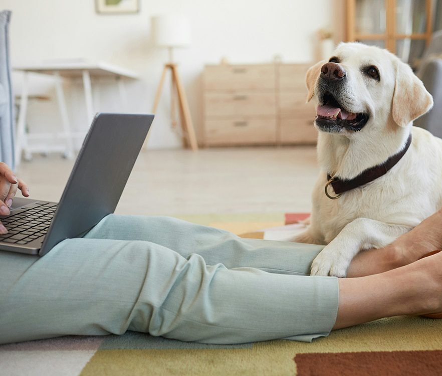 online counselling e1772563997882