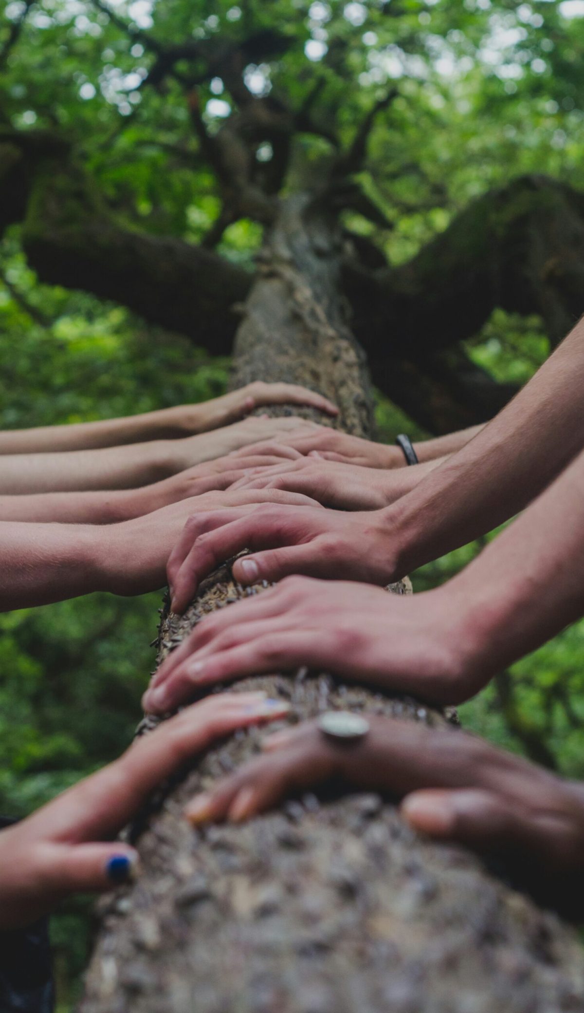 career and workplace counselling calgary